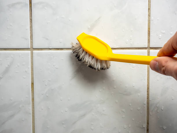 Best Commercial Mold Removal  in Fowler, CO