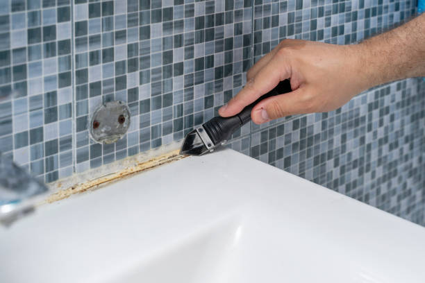 Best Mold Testing  in Fowler, CO